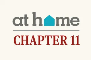 Case Summary: At Home Chapter 11 Post feature image