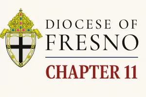 Case Summary: Diocese of Fresno Chapter 11 Post feature image