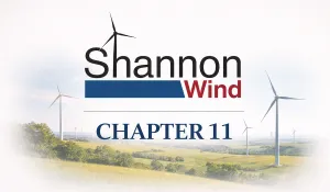 Case Summary: Shannon Wind Chapter 11 Post feature image