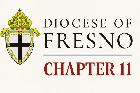 Case Summary: Diocese of Fresno Chapter 11 Post feature image