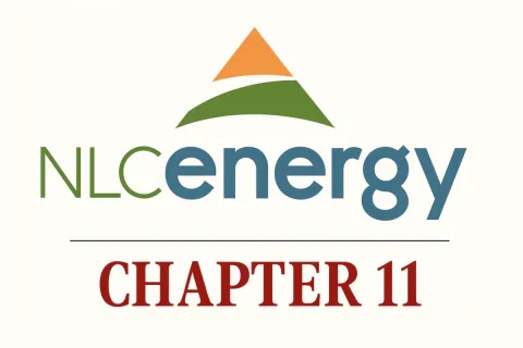 Case Summary: NLC Energy Denmark Chapter 11 Post feature image