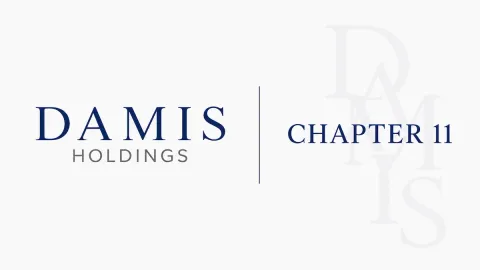 Case Summary: Damis Holdings Chapter 11 Post feature image